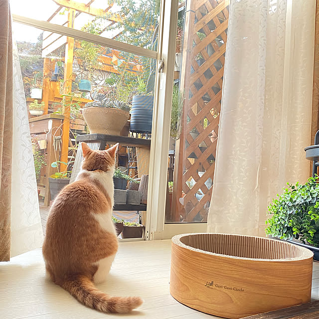 mintteaさんの実例写真