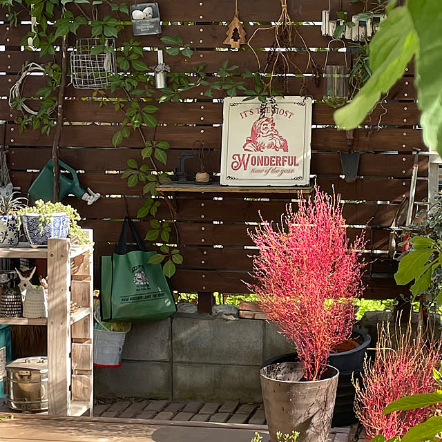 nobikoさんの実例写真