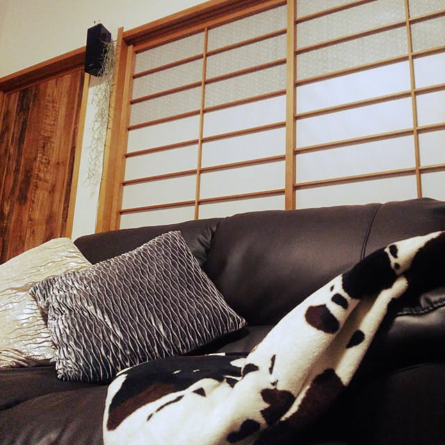 syamomoさんの実例写真