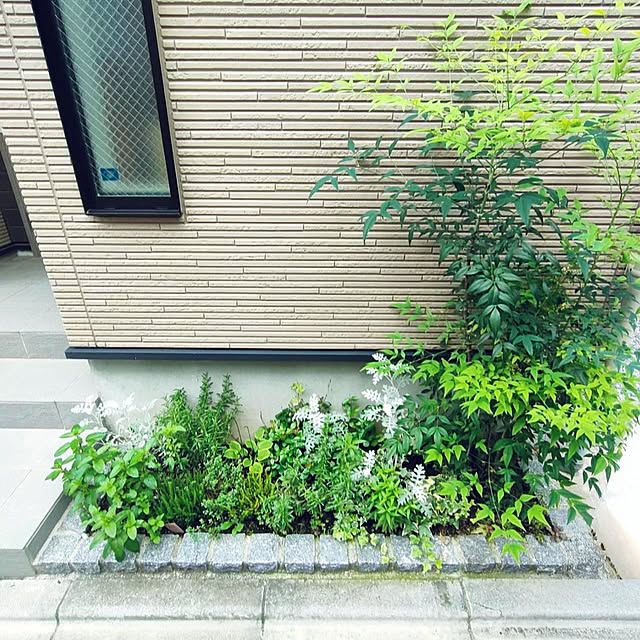 meguさんの実例写真