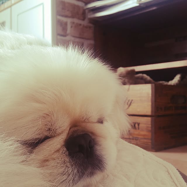 yukaiさんの実例写真