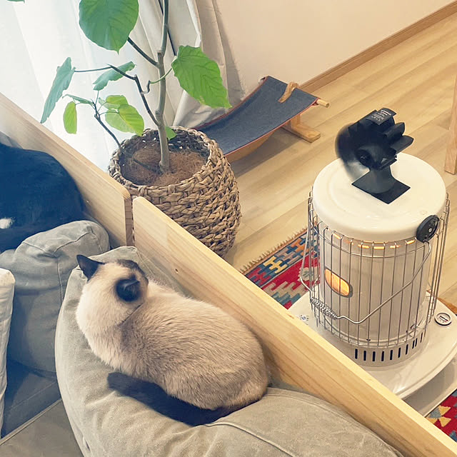 hirokoさんの実例写真