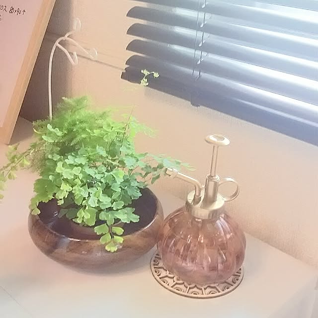 imoanさんの実例写真