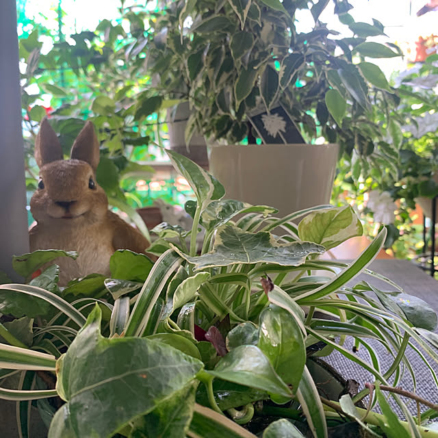 Aqettyさんの部屋