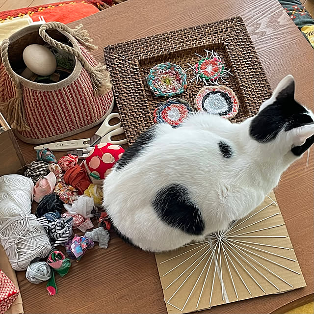 nobikoさんの部屋
