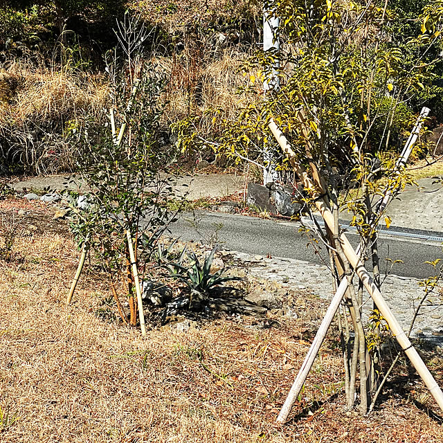 kabu10さんの部屋