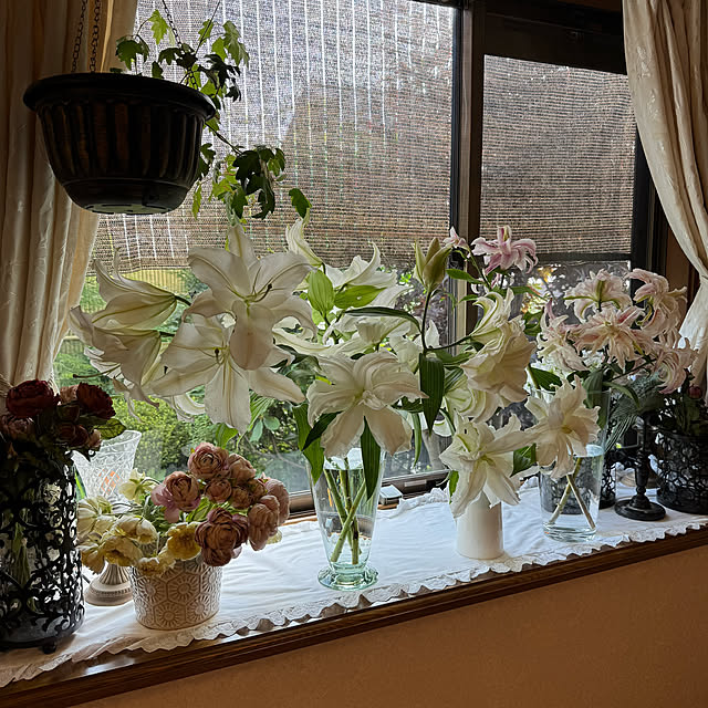 mamizaさんの部屋
