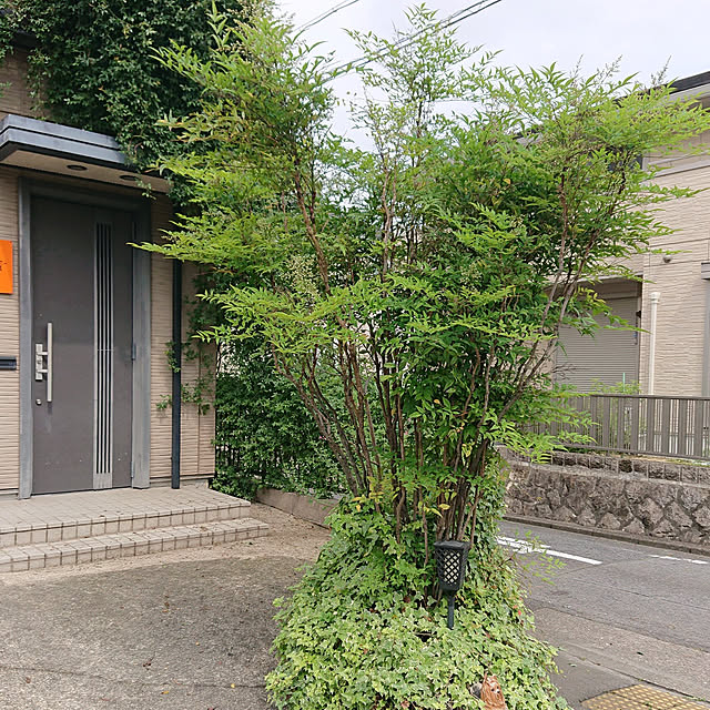 EKさんの実例写真