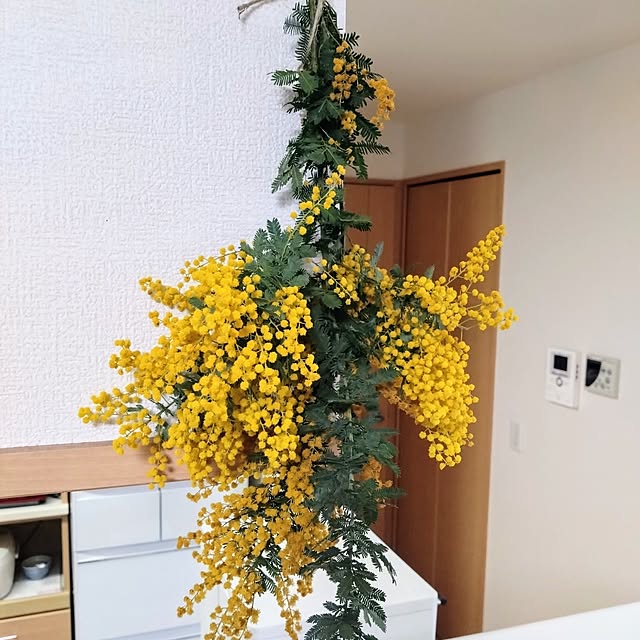 yuuさんの実例写真