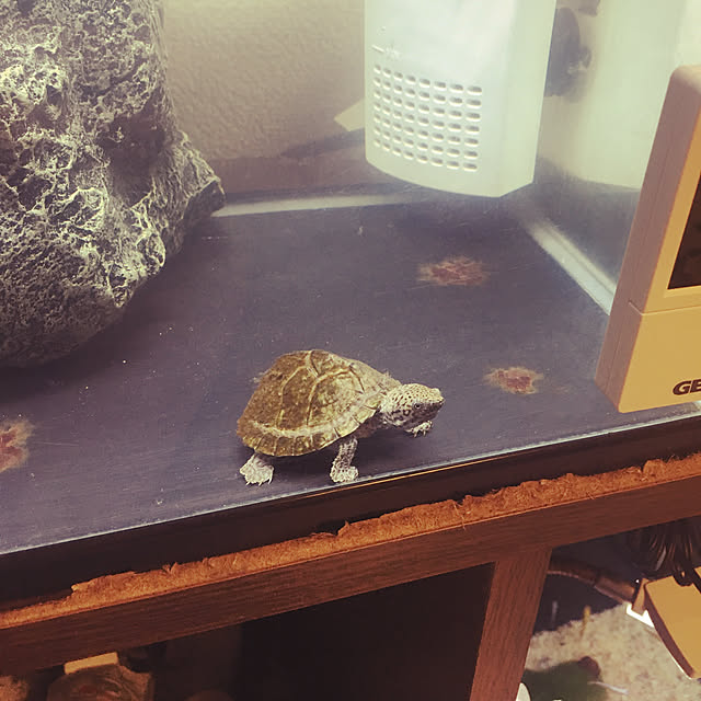 sunaさんの実例写真