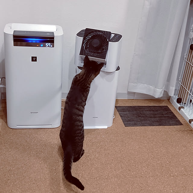 hihaさんの実例写真