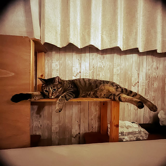 Mさんの実例写真