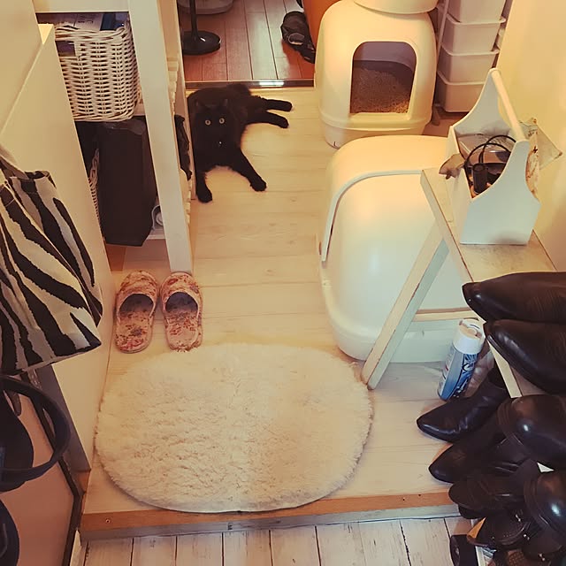 emikoさんの実例写真