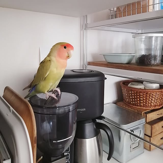 so-bokuさんの実例写真