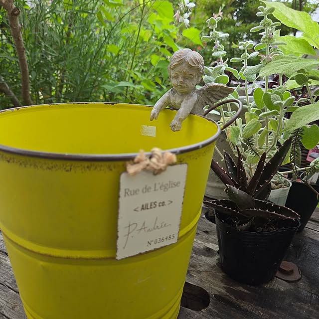 min_nimさんの部屋