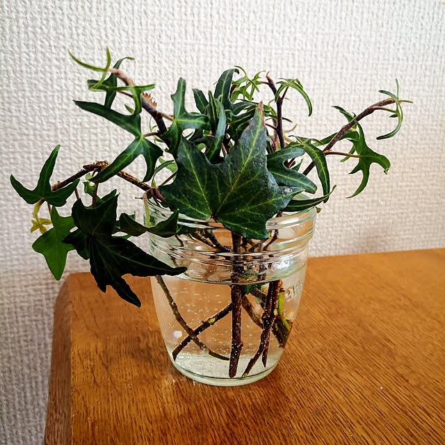 afro810さんの実例写真