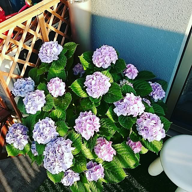 monoloveさんの実例写真