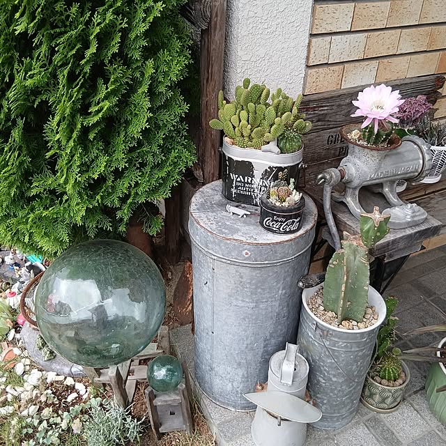 hononoさんの部屋