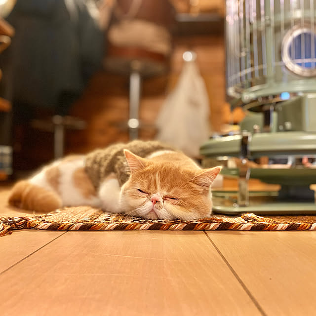 Rans_andy.さんの実例写真