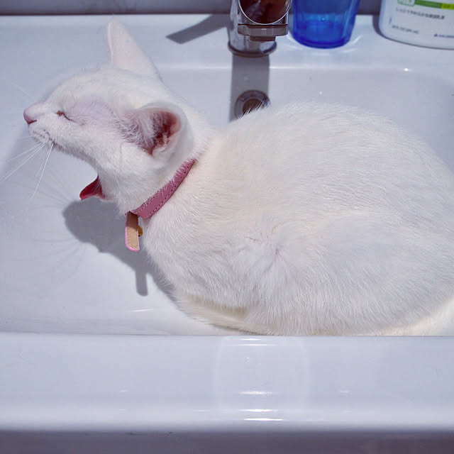 Y.M.Kさんの実例写真