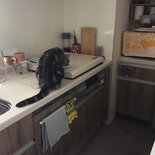 mikomaruさんの実例写真