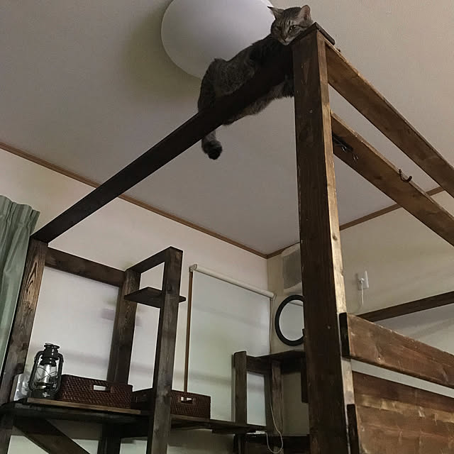mikan161さんの実例写真