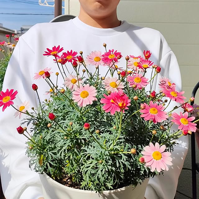 VERANDARJUNさんの実例写真