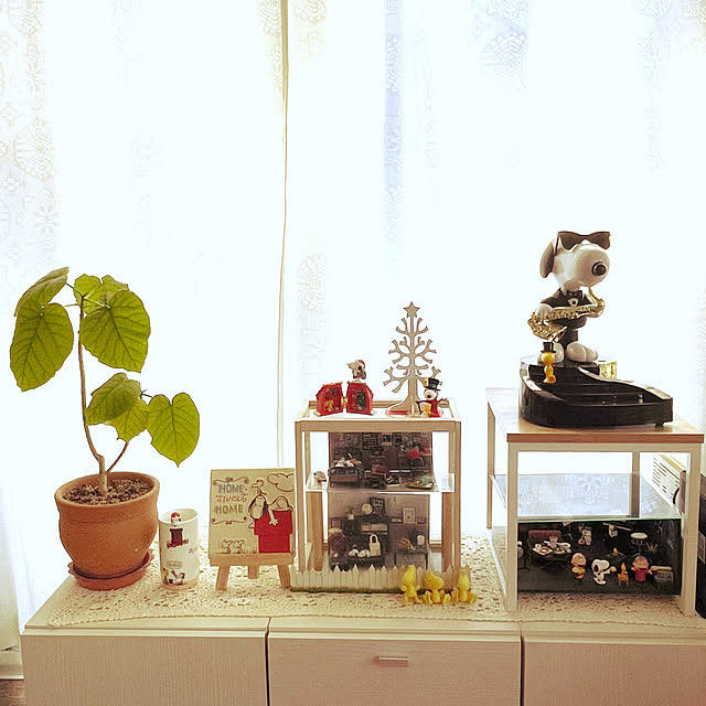 AcchanSaysさんの部屋
