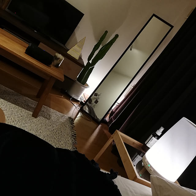 部屋全体のインテリア実例 - 2018-11-30 19:04:25