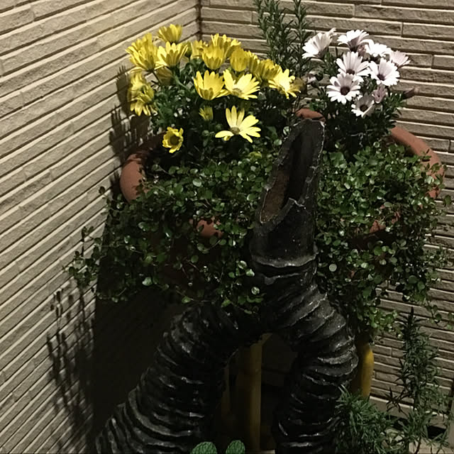 ancoさんの実例写真