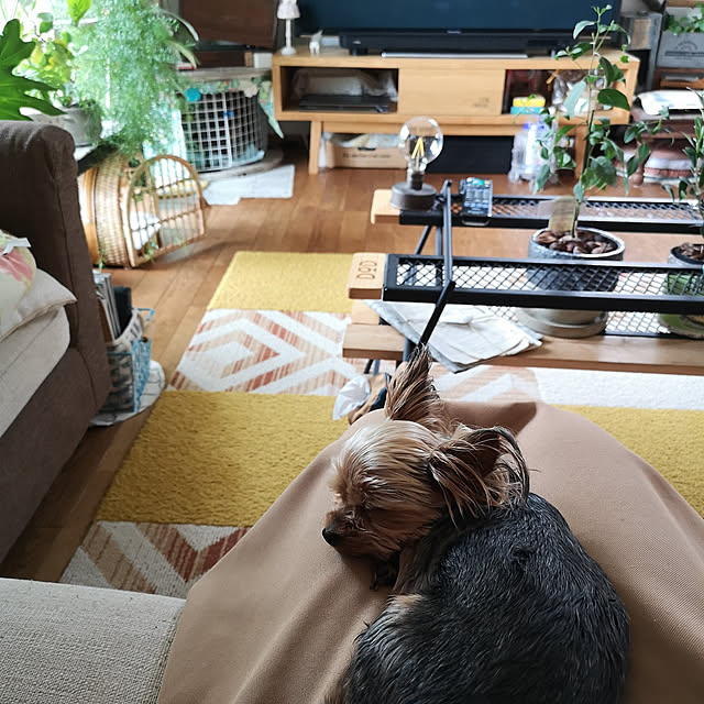akiさんの実例写真