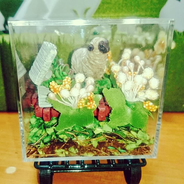 totoko3927さんの実例写真