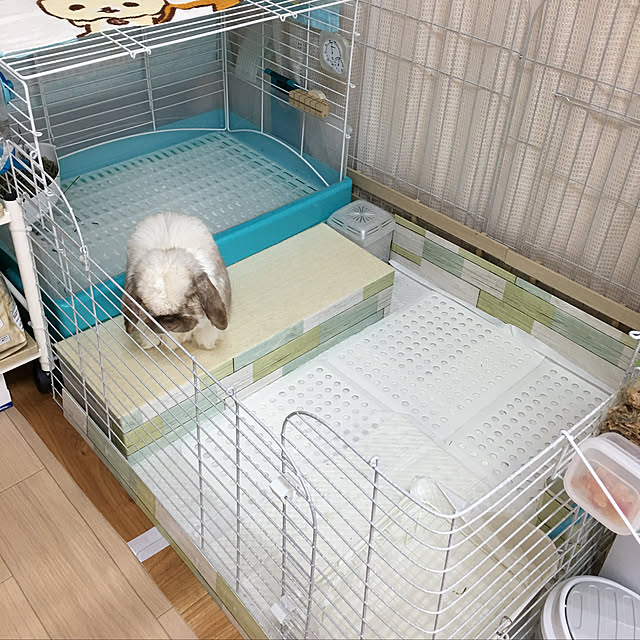 FUさんの実例写真