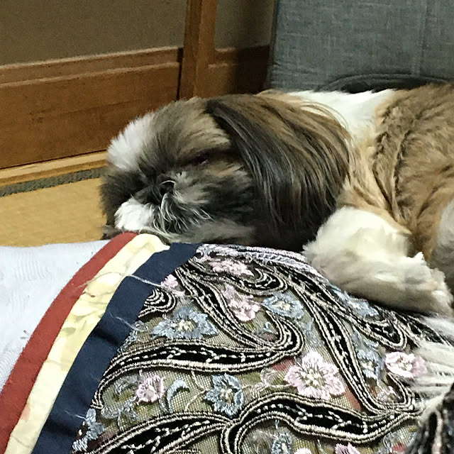 kaorinさんの実例写真