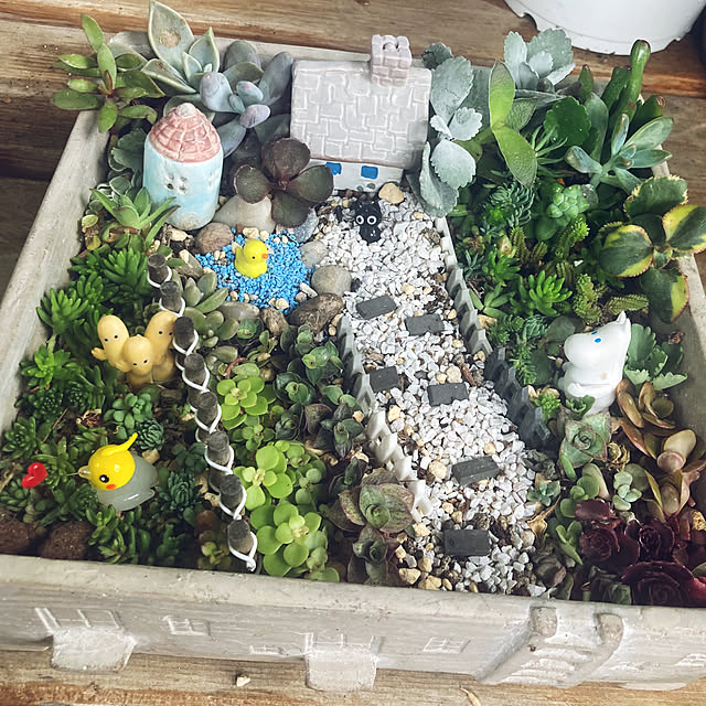 CoCo0617さんの部屋