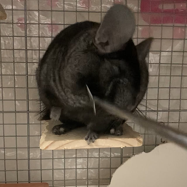 milkさんの実例写真