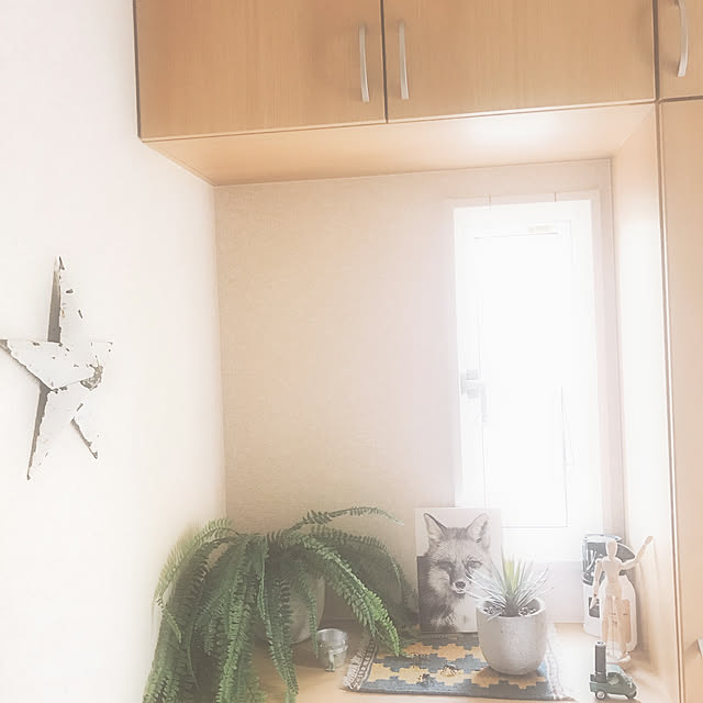 BOWさんの実例写真
