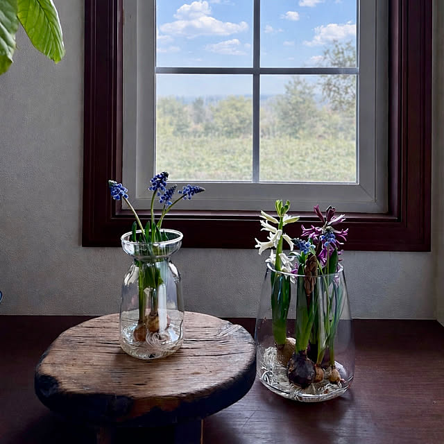 nana77さんの実例写真