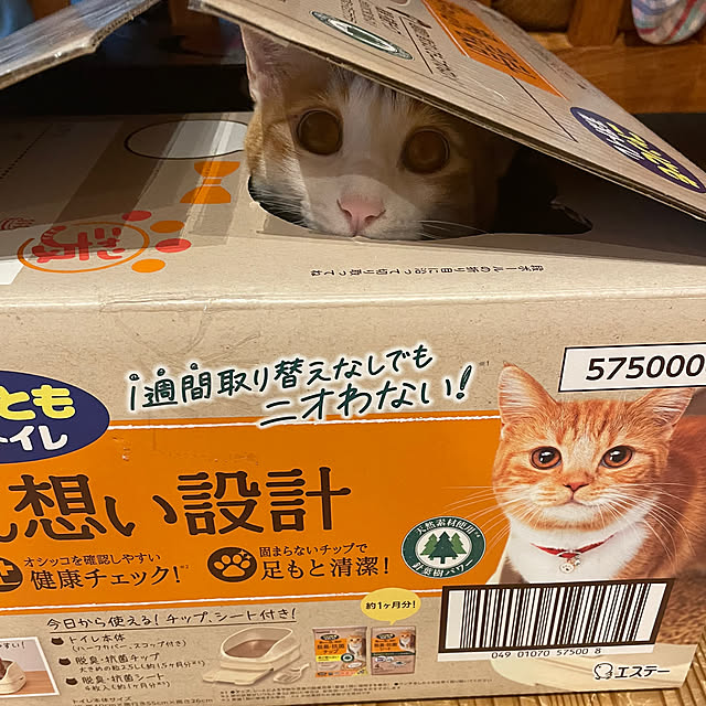 Aさんの部屋