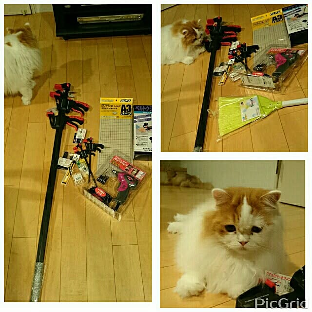 1ldksさんの実例写真