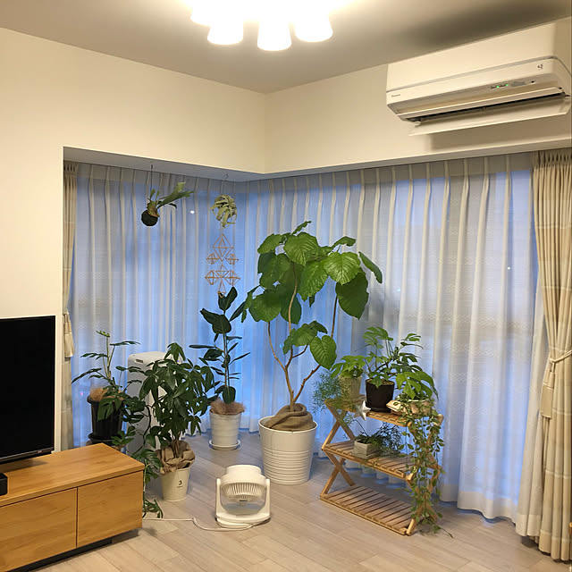 ms710さんの実例写真