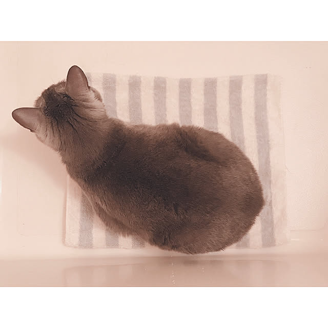 hiさんの実例写真