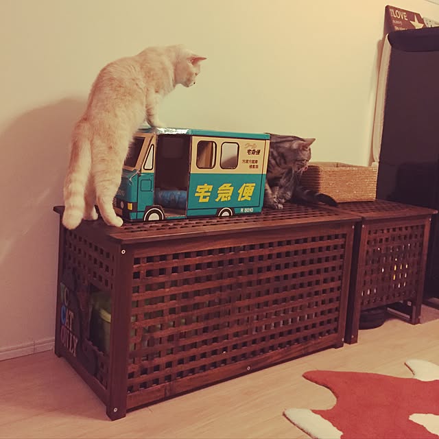 y.k.0123さんの実例写真