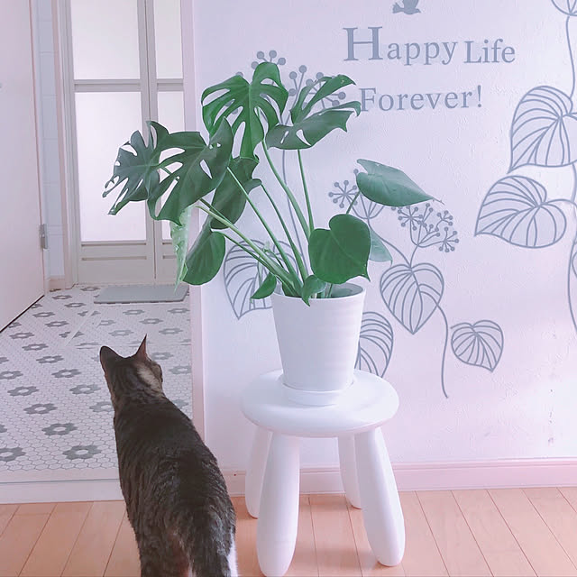 milkcocoaさんの実例写真