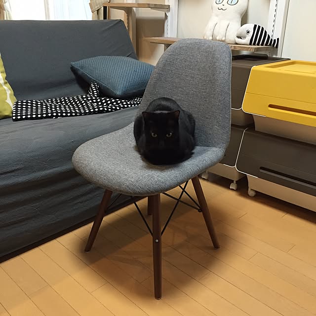 yuki0511さんの実例写真