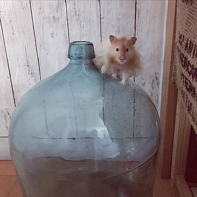 emiさんの実例写真