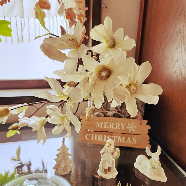 soraさんの実例写真