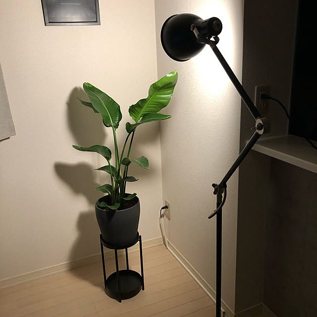 keisukeさんの実例写真