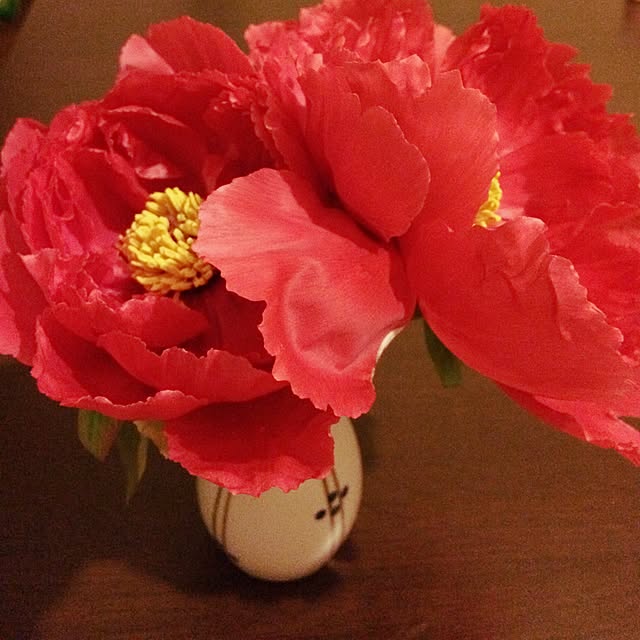 tomonon0812さんの実例写真