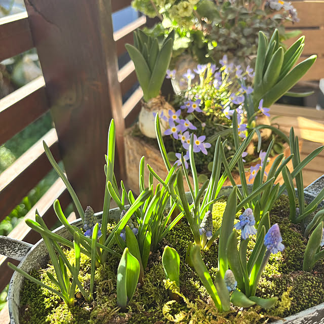 kyoko1124koさんの部屋